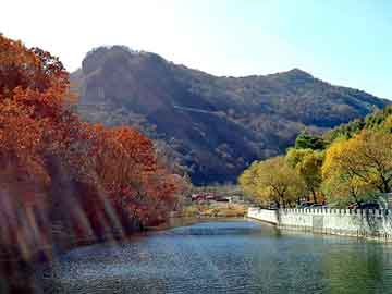 澳门二四六天天彩图库，全本都市修真小说